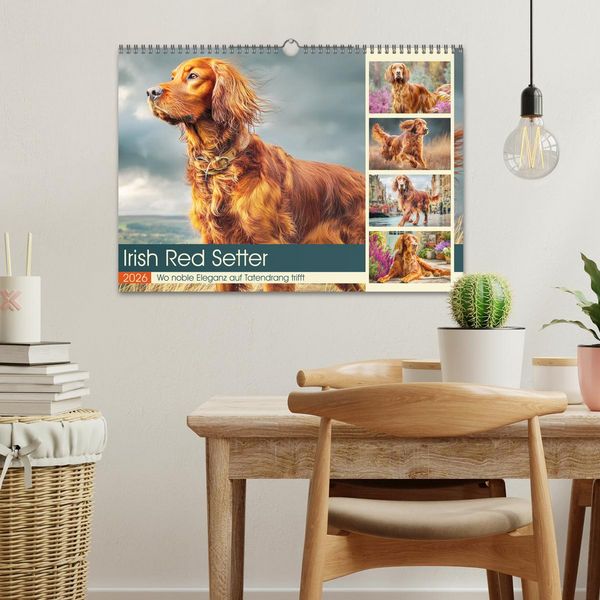 Produktbild: Irish Red Setter. Wo noble Eleganz auf Tatendrang trifft (Wandkalender 2026 DIN A3 quer), CALVENDO Monatskalender