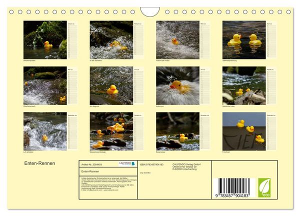 Produktbild: Enten-Rennen (Wandkalender 2026 DIN A4 quer), CALVENDO Monatskalender