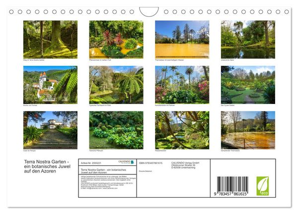 Produktbild: Terra Nostra Garten - ein botanisches Juwel auf den Azoren (Wandkalender 2026 DIN A4 quer), CALVENDO Monatskalender
