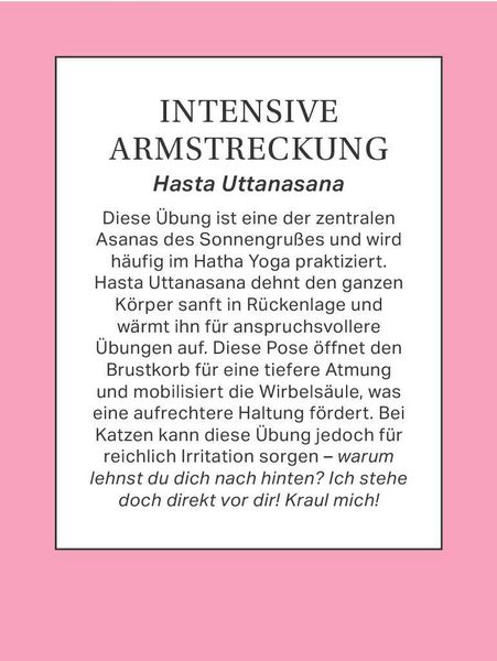 Produktbild: Yoga mit Katze