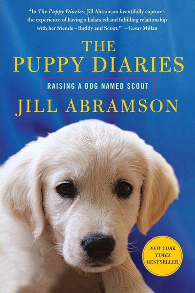 Produktbild: PUPPY DIARIES