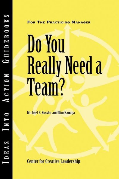 Produktbild: Do You Really Need a Team?