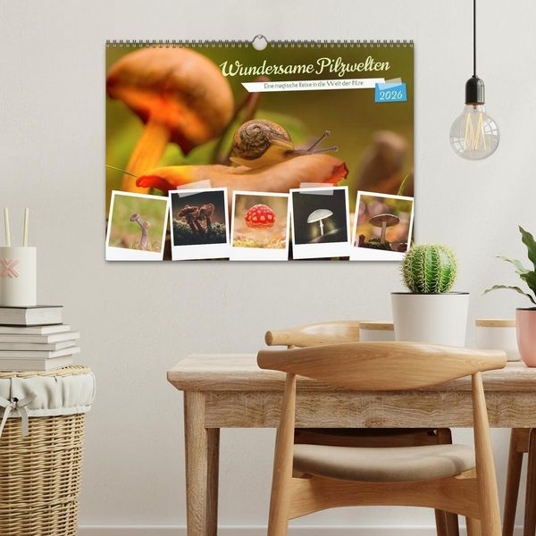 Produktbild: Wundersame Pilzwelten (Wandkalender 2026 DIN A3 quer), CALVENDO Monatskalender