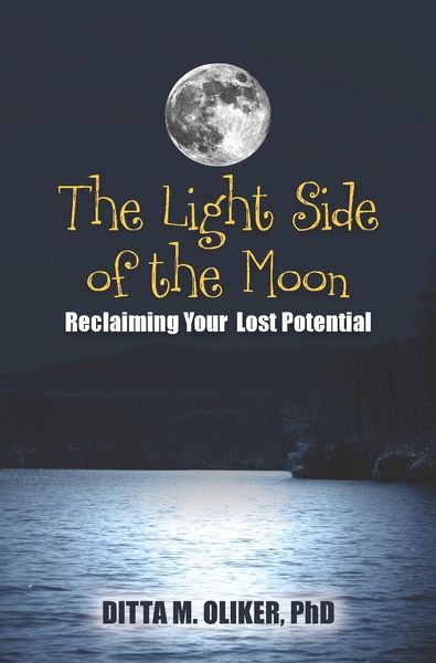 Produktbild: The Light Side of the Moon