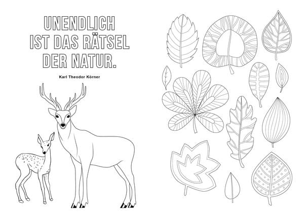 Produktbild: Ausmalbuch f&uuml;r Senioren: Das Leben ist bunt