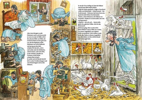 Produktbild: Wie Findus zu Pettersson kam