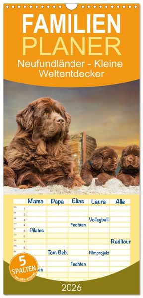 Familienplaner 2026 - Neufundländer - Kleine Weltentdecker mit 5 Spalten (Wandkalender, 21 x 45 cm) CALVENDO