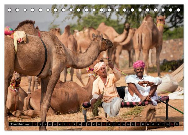 Produktbild: Indien - Rajasthan (Tischkalender 2026 DIN A5 quer), CALVENDO Monatskalender