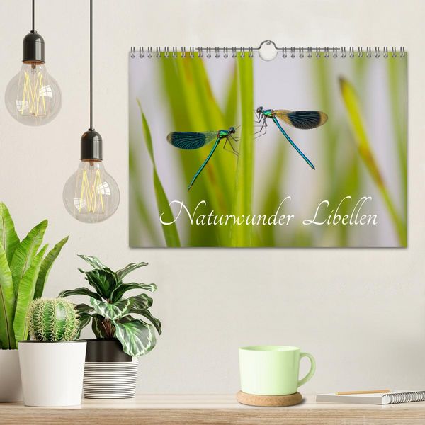 Produktbild: Naturwunder Libellen (Wandkalender 2026 DIN A4 quer), CALVENDO Monatskalender