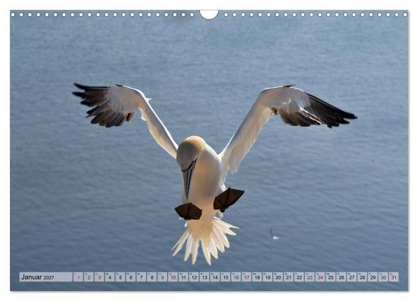 Produktbild: Sch&ouml;ne Insel Helgoland (Wandkalender 2027 DIN A3 quer), CALVENDO Monatskalender