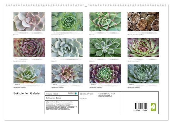 Produktbild: Sukkulenten Galerie (hochwertiger Premium Wandkalender 2026 DIN A2 quer), Kunstdruck in Hochglanz