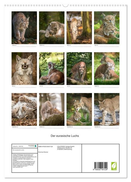 Produktbild: Der eurasische Luchs (hochwertiger Premium Wandkalender 2026 DIN A2 hoch), Kunstdruck in Hochglanz