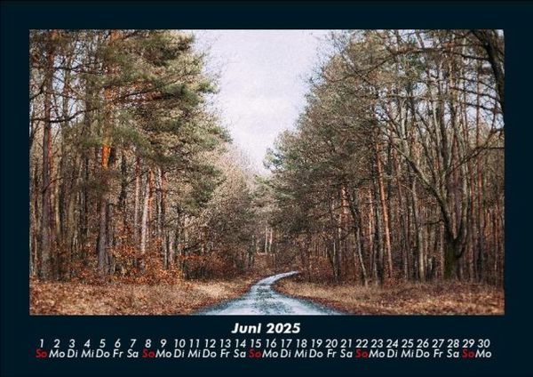 Produktbild: Waldzauber 2025 Fotokalender DIN A5