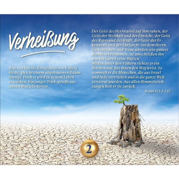 Produktbild: Wie ein helles Licht in der Nacht