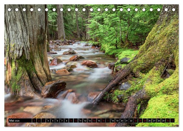 Produktbild: Waldwasser (Tischkalender 2026 DIN A5 quer), CALVENDO Monatskalender