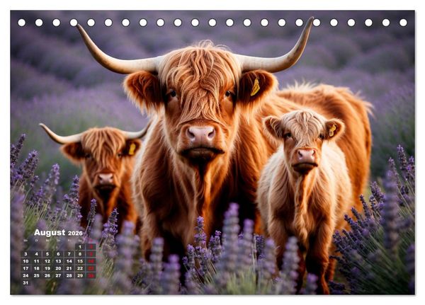 Produktbild: Highland K&uuml;he (Tischkalender 2026 DIN A5 quer), CALVENDO Monatskalender