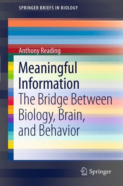 Produktbild: Meaningful Information