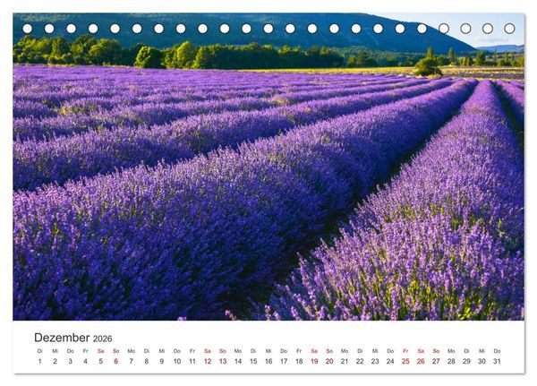Produktbild: Tr&auml;ume aus Lavendel, Provence in Rosa bis Lila (Tischkalender 2026 DIN A5 quer), CALVENDO Monatskalender