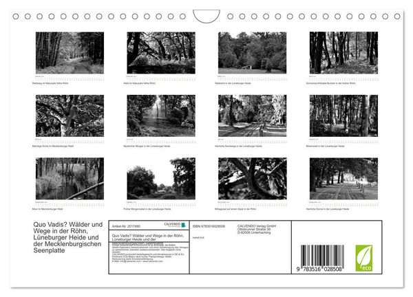 Produktbild: Quo Vadis? W&auml;lder und Wege in der R&ouml;hn, L&uuml;neburger Heide und der Mecklenburgischen Seenplatte (Wandkalender 2026 DIN A4 quer), CALVENDO Monatskalender