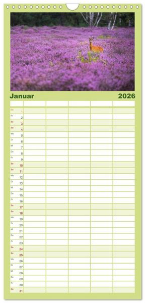 Produktbild: Familienplaner 2026 - Romantische Heidebl&uuml;te mit 5 Spalten (Wandkalender, 21 x 45 cm) CALVENDO