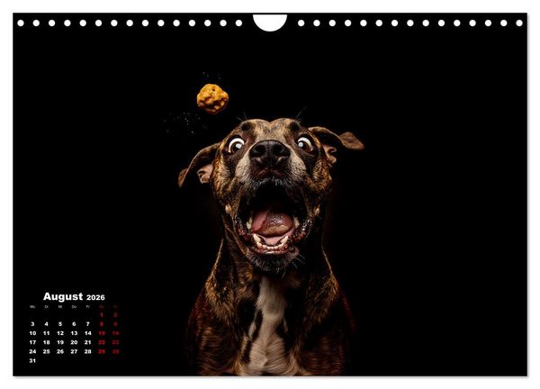 Produktbild: Leckerchen! (Wandkalender 2026 DIN A4 quer), CALVENDO Monatskalender