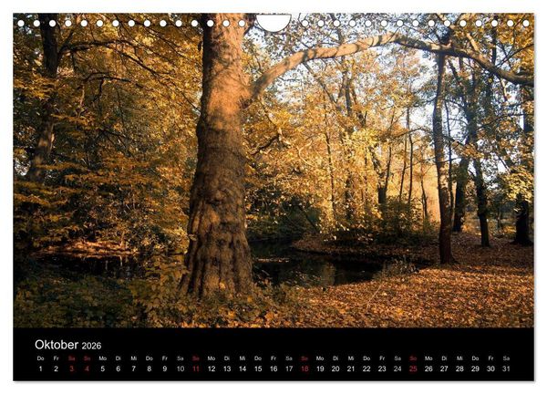 Produktbild: D&uuml;sseldorf 2026 (Wandkalender 2026 DIN A4 quer), CALVENDO Monatskalender
