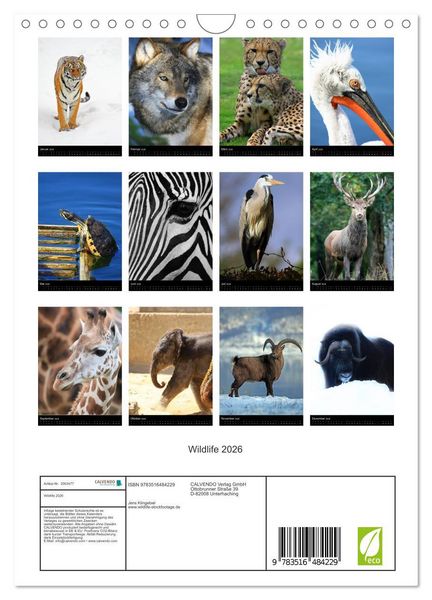 Produktbild: Wildlife 2026 (Wandkalender 2026 DIN A4 hoch), CALVENDO Monatskalender