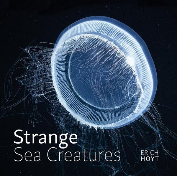 Produktbild: Strange Sea Creatures