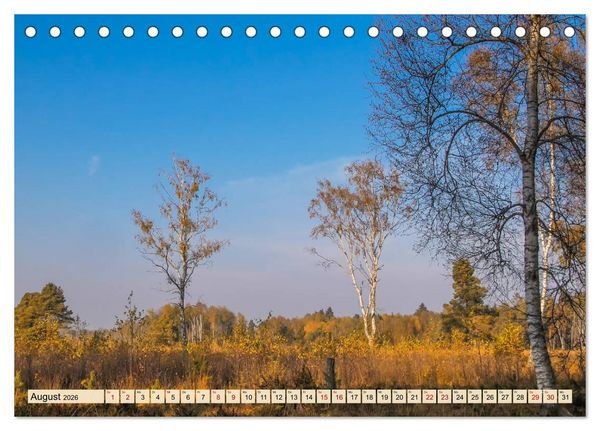 Produktbild: Herbst im Schwenninger Moos (Tischkalender 2026 DIN A5 quer), CALVENDO Monatskalender