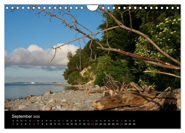 Produktbild: R&uuml;gen (Wandkalender 2026 DIN A4 quer), CALVENDO Monatskalender