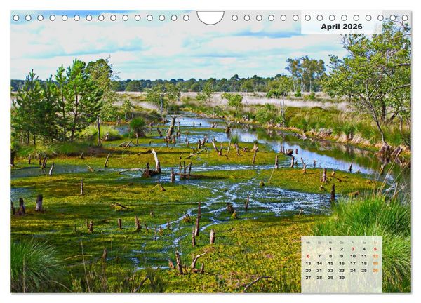 Produktbild: Niedersachsens Moorlandschaften - Das Pietzmoor, Schneverdingen (Wandkalender 2026 DIN A4 quer), CALVENDO Monatskalender