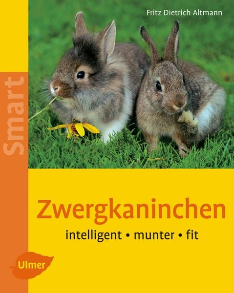 Produktbild: Zwergkaninchen