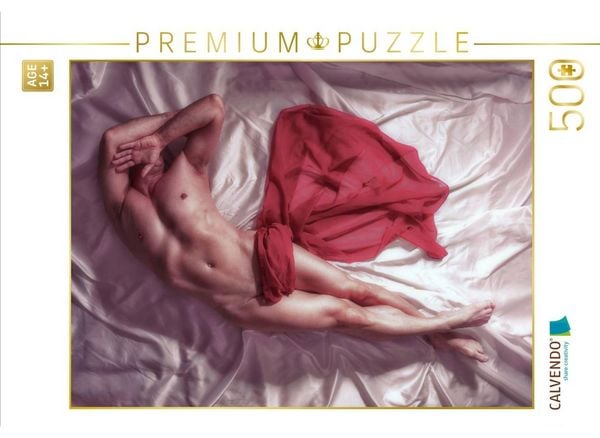 CALVENDO Puzzle Ein Motiv aus dem Kalender MÄNNER - AKTE ZWISCHEN KRAFT UND SINNLICHKEIT | 500 Teile Lege-Größe 48 × 36 cm Foto-Puzzle für Erwachsene