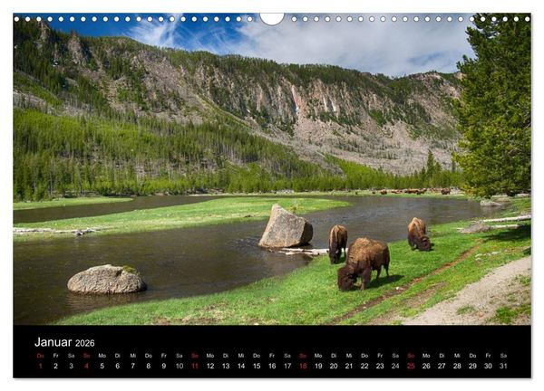 Produktbild: Traumziele in den USA. Der Yellowstone National Park (Wandkalender 2026 DIN A3 quer), CALVENDO Monatskalender