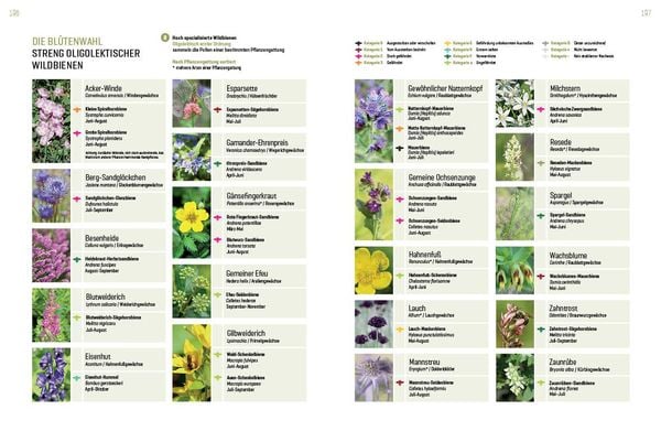 Produktbild: Wildbienenhelfer