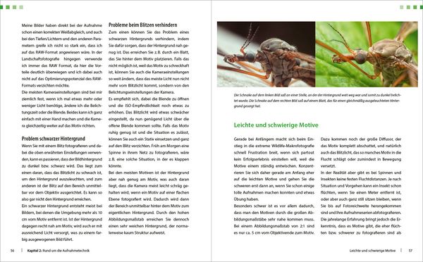 Produktbild: Extreme Wildlife-Makrofotografie