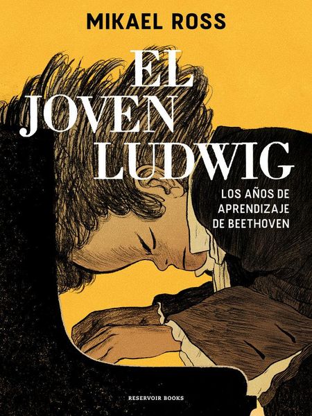 Produktbild: El joven Ludwig : los a&ntilde;os de aprendizaje de Beethoven