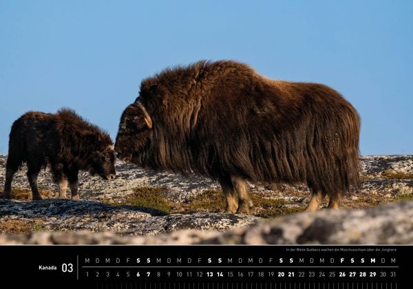 Produktbild: Kanada Premiumkalender 2027