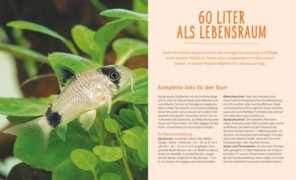 Kleine Aquarien