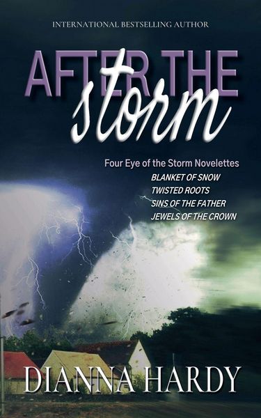 Produktbild: After the Storm