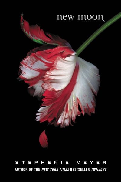 Produktbild: New Moon