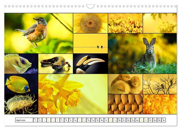 Produktbild: Colour Symphonies of the Earth (Wall Calendar 2026 DIN A3 landscape), CALVENDO 12 Month Wall Calendar