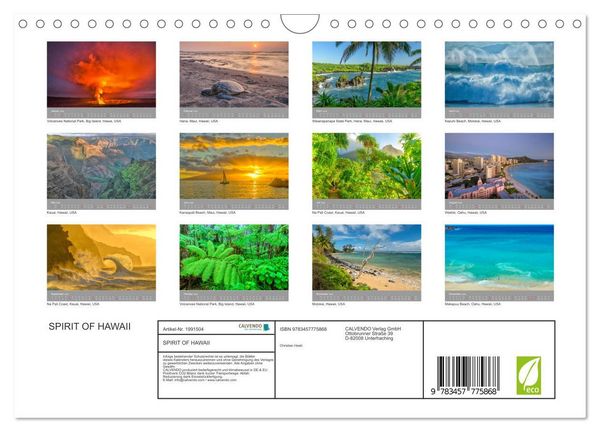 Produktbild: SPIRIT OF HAWAII (Wandkalender 2026 DIN A4 quer), CALVENDO Monatskalender