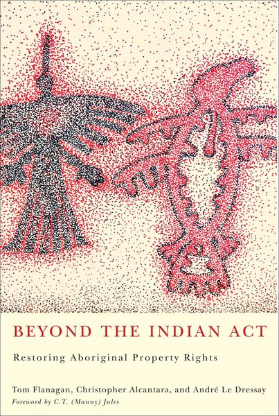 Produktbild: Beyond the Indian Act