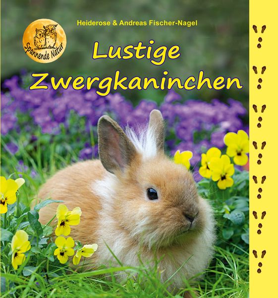 Produktbild: Lustige Zwergkaninchen