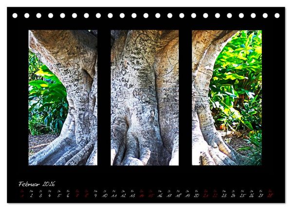 Produktbild: Die Kunst der Natur - Dreifach Stilvoll (Tischkalender 2026 DIN A5 quer), CALVENDO Monatskalender