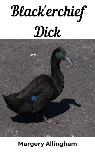 Produktbild: Black erchief Dick