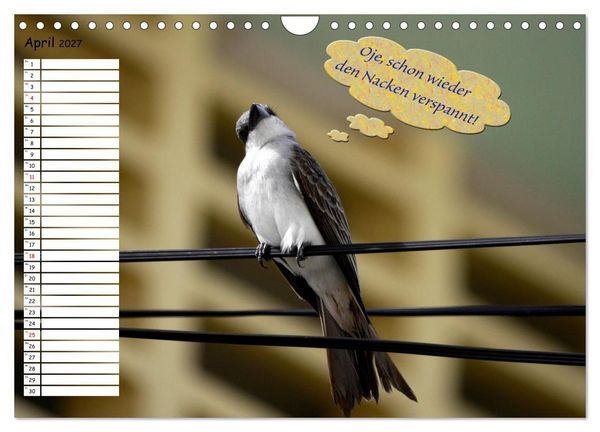 Produktbild: Wenn Tiere Sprechen k&ouml;nnten! Der lustige Spr&uuml;che Geburtstagskalender (Wandkalender 2027 DIN A4 quer), CALVENDO Monatskalender