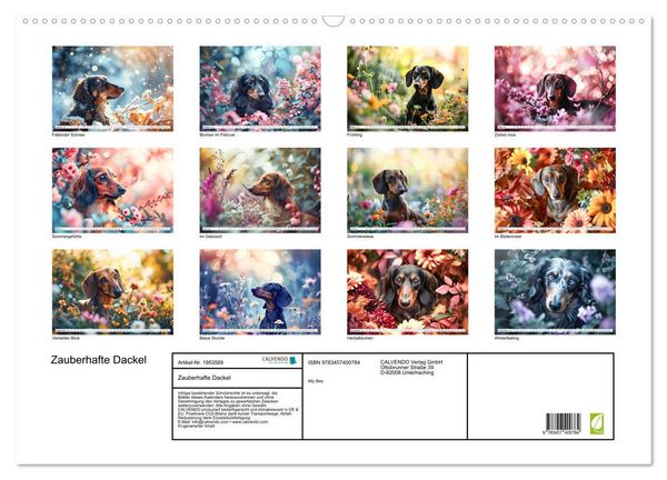 Produktbild: Zauberhafte Dackel (Wandkalender 2026 DIN A2 quer), CALVENDO Monatskalender