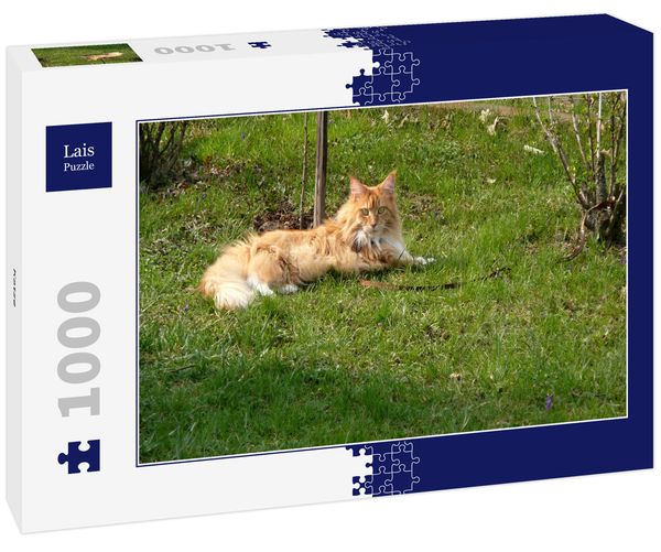 Produktbild: Lais Puzzle Katze 1000 Teile